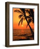 A Couple in Silhouette, Enjoying a Romantic Sunset Beneath the Palm Trees in Kailua-Kona, Hawaii-Ann Cecil-Framed Photographic Print