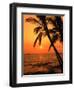 A Couple in Silhouette, Enjoying a Romantic Sunset Beneath the Palm Trees in Kailua-Kona, Hawaii-Ann Cecil-Framed Photographic Print