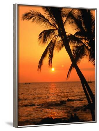 'A Couple in Silhouette, Enjoying a Romantic Sunset Beneath the Palm ...