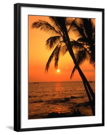 'A Couple in Silhouette, Enjoying a Romantic Sunset Beneath the Palm ...