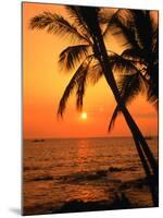 A Couple in Silhouette, Enjoying a Romantic Sunset Beneath the Palm Trees in Kailua-Kona, Hawaii-Ann Cecil-Mounted Photographic Print