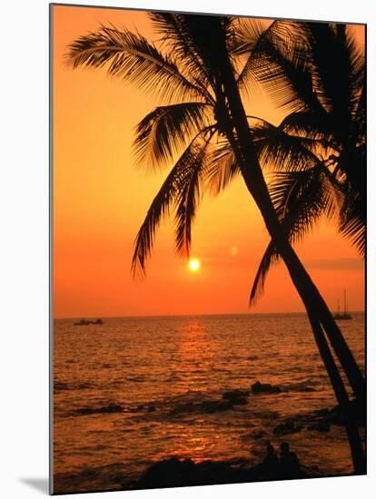 A Couple in Silhouette, Enjoying a Romantic Sunset Beneath the Palm Trees in Kailua-Kona, Hawaii-Ann Cecil-Mounted Photographic Print
