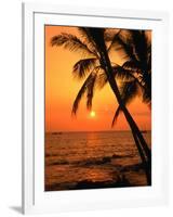 A Couple in Silhouette, Enjoying a Romantic Sunset Beneath the Palm Trees in Kailua-Kona, Hawaii-Ann Cecil-Framed Photographic Print