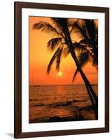 A Couple in Silhouette, Enjoying a Romantic Sunset Beneath the Palm Trees in Kailua-Kona, Hawaii-Ann Cecil-Framed Photographic Print