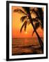 A Couple in Silhouette, Enjoying a Romantic Sunset Beneath the Palm Trees in Kailua-Kona, Hawaii-Ann Cecil-Framed Photographic Print