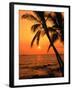 A Couple in Silhouette, Enjoying a Romantic Sunset Beneath the Palm Trees in Kailua-Kona, Hawaii-Ann Cecil-Framed Premium Photographic Print
