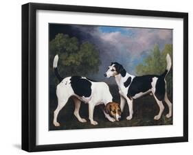 A Couple of Foxhounds-George Stubbs-Framed Premium Giclee Print