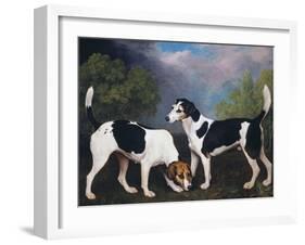 A Couple of Foxhounds-George Stubbs-Framed Giclee Print