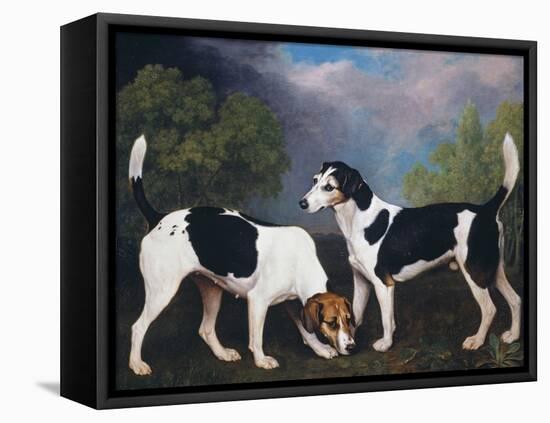 A Couple of Foxhounds-George Stubbs-Framed Stretched Canvas