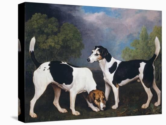 A Couple of Foxhounds-George Stubbs-Stretched Canvas