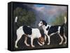 A Couple of Foxhounds-George Stubbs-Framed Stretched Canvas