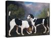 A Couple of Foxhounds-George Stubbs-Stretched Canvas