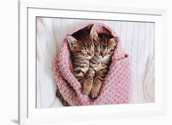 A Couple of Gray Kittens are Sleeping Together in a Cozy Blanket. A Loving Family of Kittens.-Siarhei SHUNTSIKAU-Framed Photographic Print