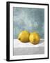 A Couple of Lemons-Mark Chandon-Framed Giclee Print