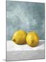 A Couple of Lemons-Mark Chandon-Mounted Giclee Print