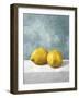 A Couple of Lemons-Mark Chandon-Framed Giclee Print