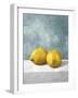 A Couple of Lemons-Mark Chandon-Framed Giclee Print