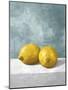 A Couple of Lemons-Mark Chandon-Mounted Giclee Print
