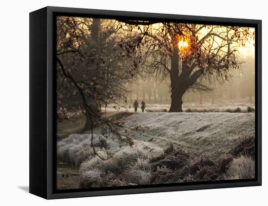 A Couple Walk in the Winter in Richmond Park-Alex Saberi-Framed Stretched Canvas