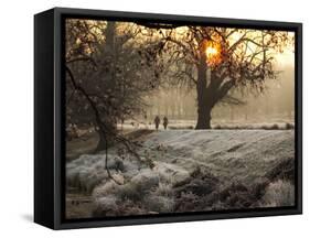 A Couple Walk in the Winter in Richmond Park-Alex Saberi-Framed Stretched Canvas