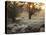 A Couple Walk in the Winter in Richmond Park-Alex Saberi-Stretched Canvas