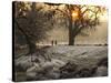 A Couple Walk in the Winter in Richmond Park-Alex Saberi-Stretched Canvas
