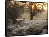 A Couple Walk in the Winter in Richmond Park-Alex Saberi-Framed Stretched Canvas