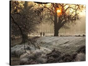 A Couple Walk in the Winter in Richmond Park-Alex Saberi-Stretched Canvas