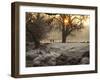 A Couple Walk in the Winter in Richmond Park-Alex Saberi-Framed Photographic Print