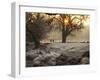 A Couple Walk in the Winter in Richmond Park-Alex Saberi-Framed Photographic Print