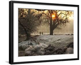 A Couple Walk in the Winter in Richmond Park-Alex Saberi-Framed Photographic Print