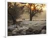 A Couple Walk in the Winter in Richmond Park-Alex Saberi-Framed Photographic Print