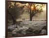 A Couple Walk in the Winter in Richmond Park-Alex Saberi-Framed Photographic Print