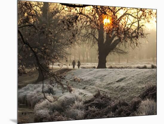 A Couple Walk in the Winter in Richmond Park-Alex Saberi-Mounted Photographic Print