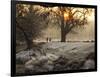 A Couple Walk in the Winter in Richmond Park-Alex Saberi-Framed Photographic Print