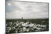 A Couple Walking Together on a Winter Day on a Beach-Clive Nolan-Mounted Photographic Print