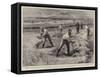 A Coveted Privilege, Convict Gangs Haymaking-William Small-Framed Stretched Canvas