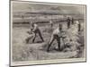 A Coveted Privilege, Convict Gangs Haymaking-William Small-Mounted Giclee Print