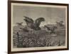 A Covey of Partridges-Harrison William Weir-Framed Giclee Print