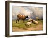 A Cow and Five Sheep, 1887-Thomas Sidney Cooper-Framed Giclee Print