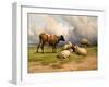 A Cow and Five Sheep, 1887-Thomas Sidney Cooper-Framed Giclee Print