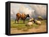 A Cow and Five Sheep, 1887-Thomas Sidney Cooper-Framed Stretched Canvas