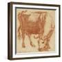 A cow grazing, c.1663-Adriaen van de Velde-Framed Giclee Print