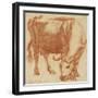 A cow grazing, c.1663-Adriaen van de Velde-Framed Giclee Print