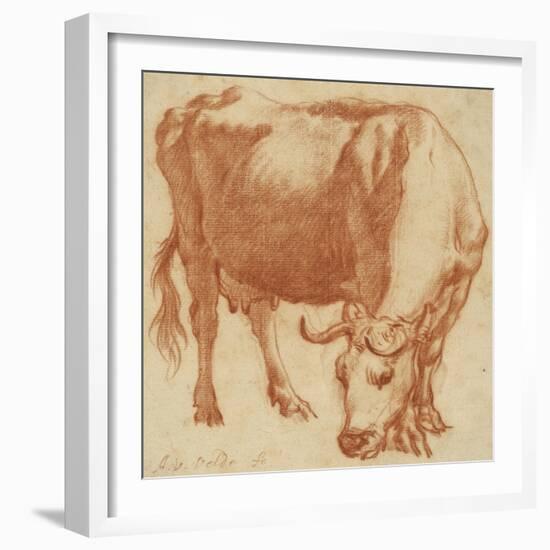 A cow grazing, c.1663-Adriaen van de Velde-Framed Giclee Print