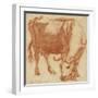 A cow grazing, c.1663-Adriaen van de Velde-Framed Giclee Print