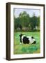 A Cow in the Meadow-Thomas Ludwig Herbst-Framed Giclee Print