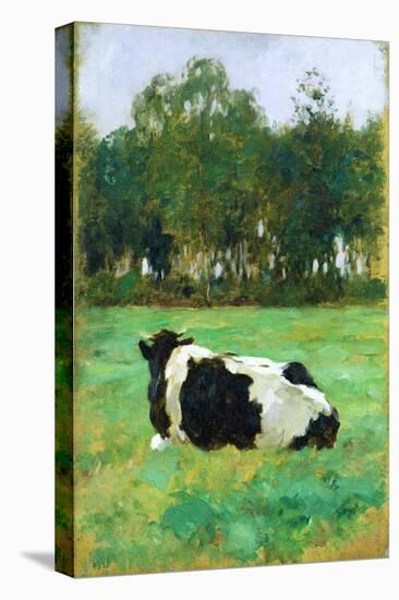 A Cow in the Meadow-Thomas Ludwig Herbst-Stretched Canvas