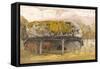 A Cow Lodge with a Mossy Roof, C.1829 (Pen and Ink with W/C and Gouache on Paper)-Samuel Palmer-Framed Stretched Canvas