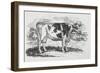 A Cow-Thomas Bewick-Framed Giclee Print